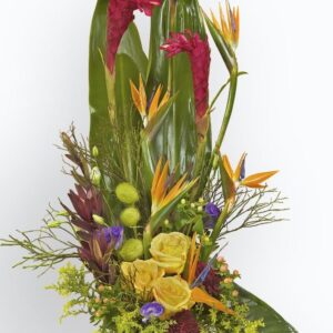 Tropical arrangement in terra-cotta